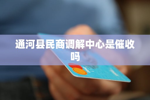 通河縣民商調(diào)解中心的角色 調(diào)解與金融機(jī)構(gòu)委托的邊界探討